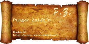 Pungor Zalán névjegykártya