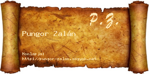 Pungor Zalán névjegykártya
